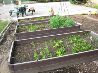 Garden beds