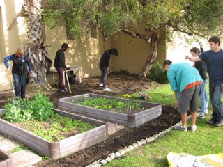 Students work in garden beds