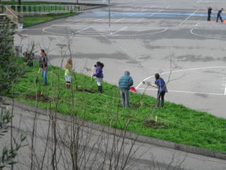 Students dig holes for fruit trees